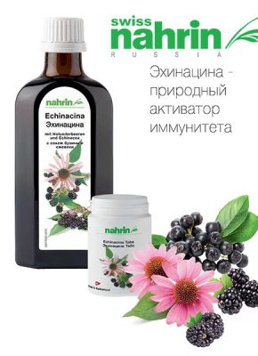 Эхинацина Свисс Нарин